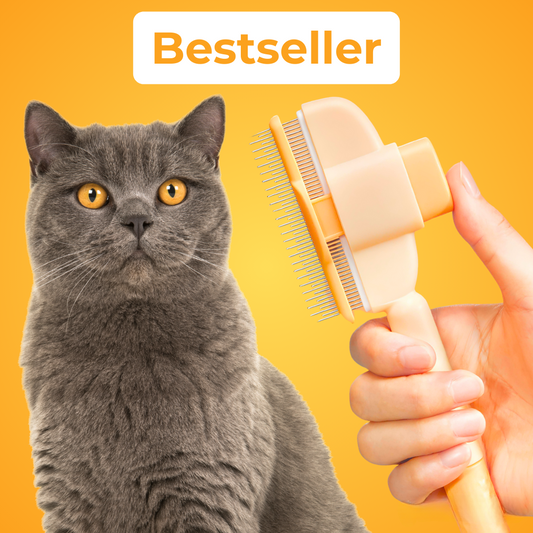 FurFlash Brush – The WonderBrush