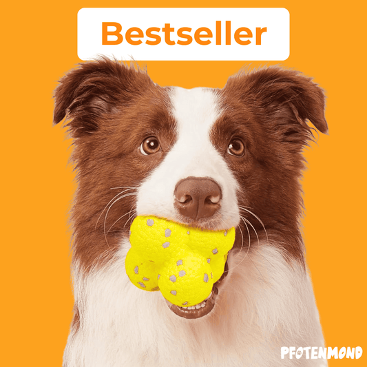 Kauzauber-Ball | Der Bestseller